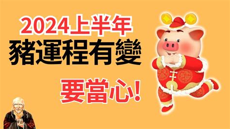 豬 運勢|屬豬出生年份+2024今年幾多歲？屬豬性格特徵+最新。